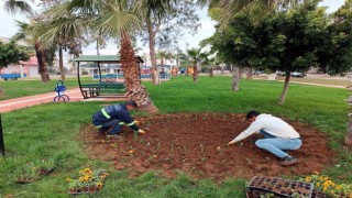 Akdeniz’de park, bahçe ve yeşil alanlar çiçekleniyor