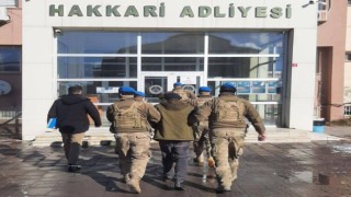 Hakkari’de PKK/KCK operasyonu: 2 gözaltı