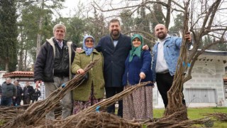 Balıkesir Büyükşehir’den Sındırgı’ya 16 bin ceviz ve badem fidanı