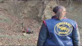 Katil zanlısının yasak aşktan dünyaya gelen çocuklarını öldürdüğü ortaya çıktı