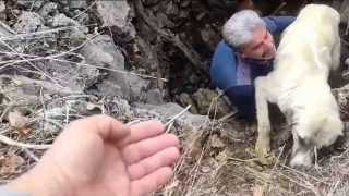 Kuyuya düşen köpeğe vatandaştan yardım eli