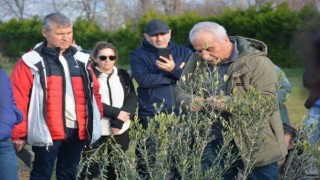 Zeytin yetiştiriciliği kursuna büyük ilgi