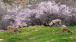 Aynı il iki farklı mevsim