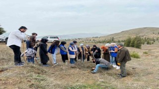 Elazığ’da öğrenciler fidan dikim etkinliğinde buluştu