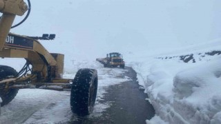 Hakkari’de kapanan 191 yerleşim yolu yeniden açıldı