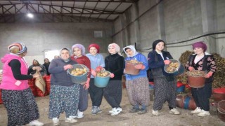 Patates işçisi kadınlar 8 Mart’ı işlerinin başında geçirdi