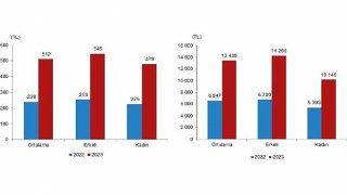 TÜİK: Mevsimlik tarım işçilerinin ortalama günlük ücretleri 2023 yılında %114,6 arttı