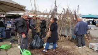 Erzincan’da meyve fidanı satışı başladı