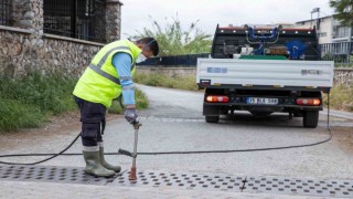 İzmir’de sivrisinek ve haşere ile mücadele 12 ay sürüyor