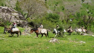 Terörden temizlenen dağlarda yetişen otlar adeta şifa deposu