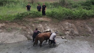 Düzce itfaiyesi 857 olaya müdahale etti