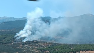 Hatay’da orman yangını