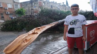 Küçük çocuk fırtınada devrilen ağacın altında kalmaktan son anda kurtuldu