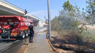 Manavgat'ta ol kenarına atılan sigara izmariti yangın çıkardı