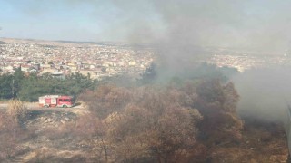 Balıkesir’in Çamlık mevkiinde çıkan arazi yangını söndürüldü