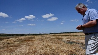 Lüleburgaz Belediyesi’nden 160 ton buğday hasadı