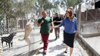 Karşıyaka Belediyesi yeni hayvan barınağı için düğmeye bastı