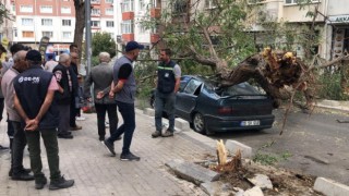 Üzerine ağaç devrilen otomobil hurdaya döndü: O anlar kamerada