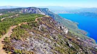 Gökova’da alevlerin önünü kesmek için 6,5 kilometre yangın şeridi açıldı