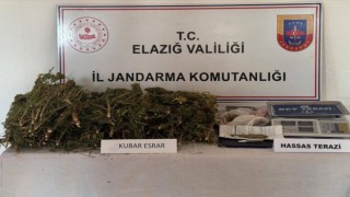 Elazığ’da evde 3 kilo 200 gram esrar ele geçirildi: 1 gözaltı