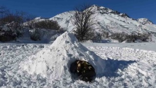 Dağların oğlu kar mağarası yaptı