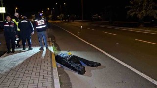 Kardeşini korumak isteyen ağabey otomobilin çarpmasıyla hayatını kaybetti