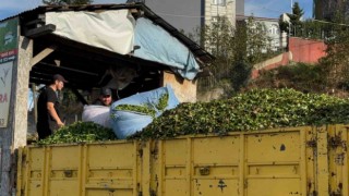 Kış geldi, çay sezonu bitmedi