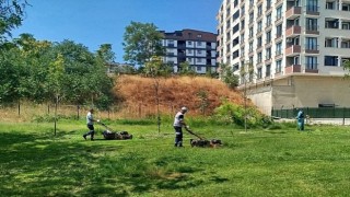 Gebze Tatlıkuyu Vadisi Kent Parkı’na düzenli bakım