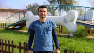 Buca’da 3 bin 54 sokak kedisi kısırlaştırıldı