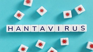 Hantavirüsün insandan insana yayılım riski düşük